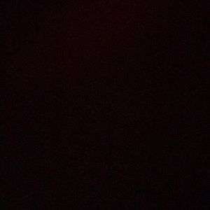 Meet your Posher, Amelia